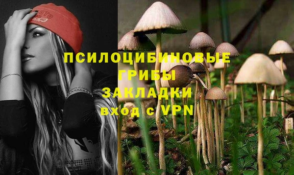 амфетамин Белокуриха