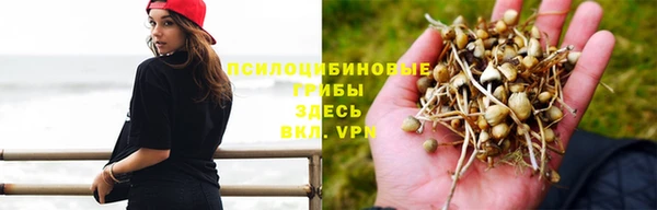 бутират Богородицк
